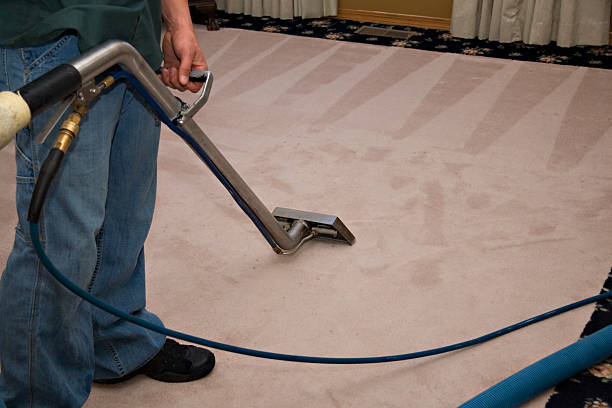 Cambridge carpet cleaning service